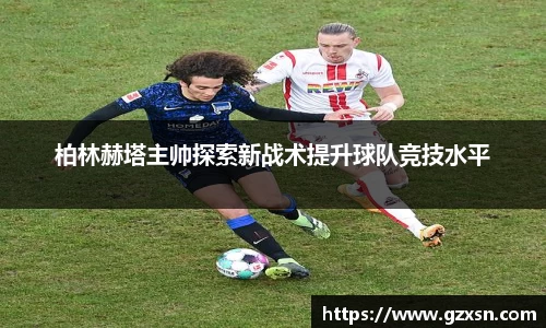 ng28体育官网